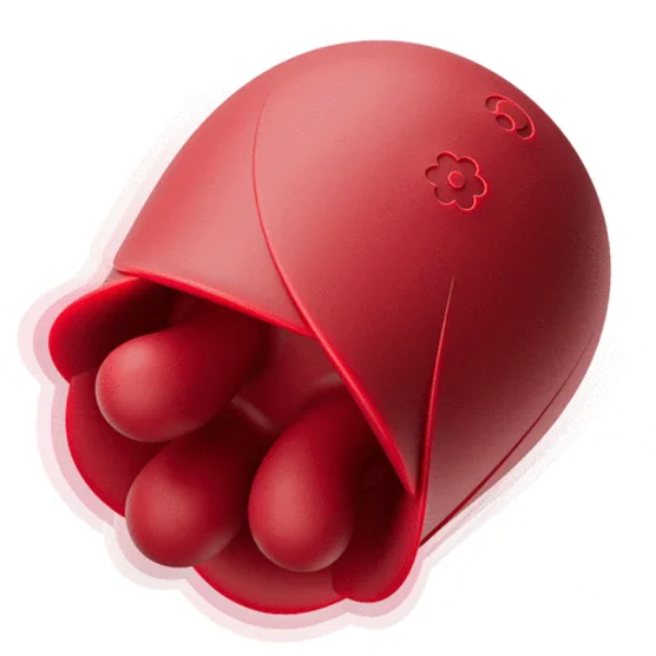 Santa’s Sexiest Secret for Your Lover Vibrating Rotating Clit Vibrator Price In Pakistan